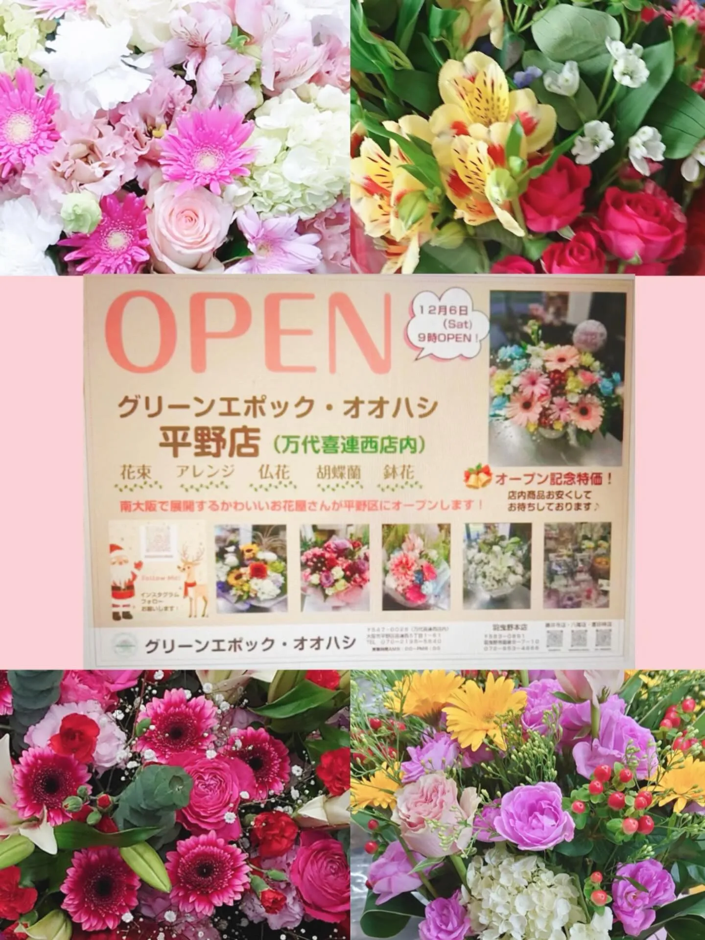 12月6日(土)9時に姉妹店、グリーンエポックオオハシ平野店...