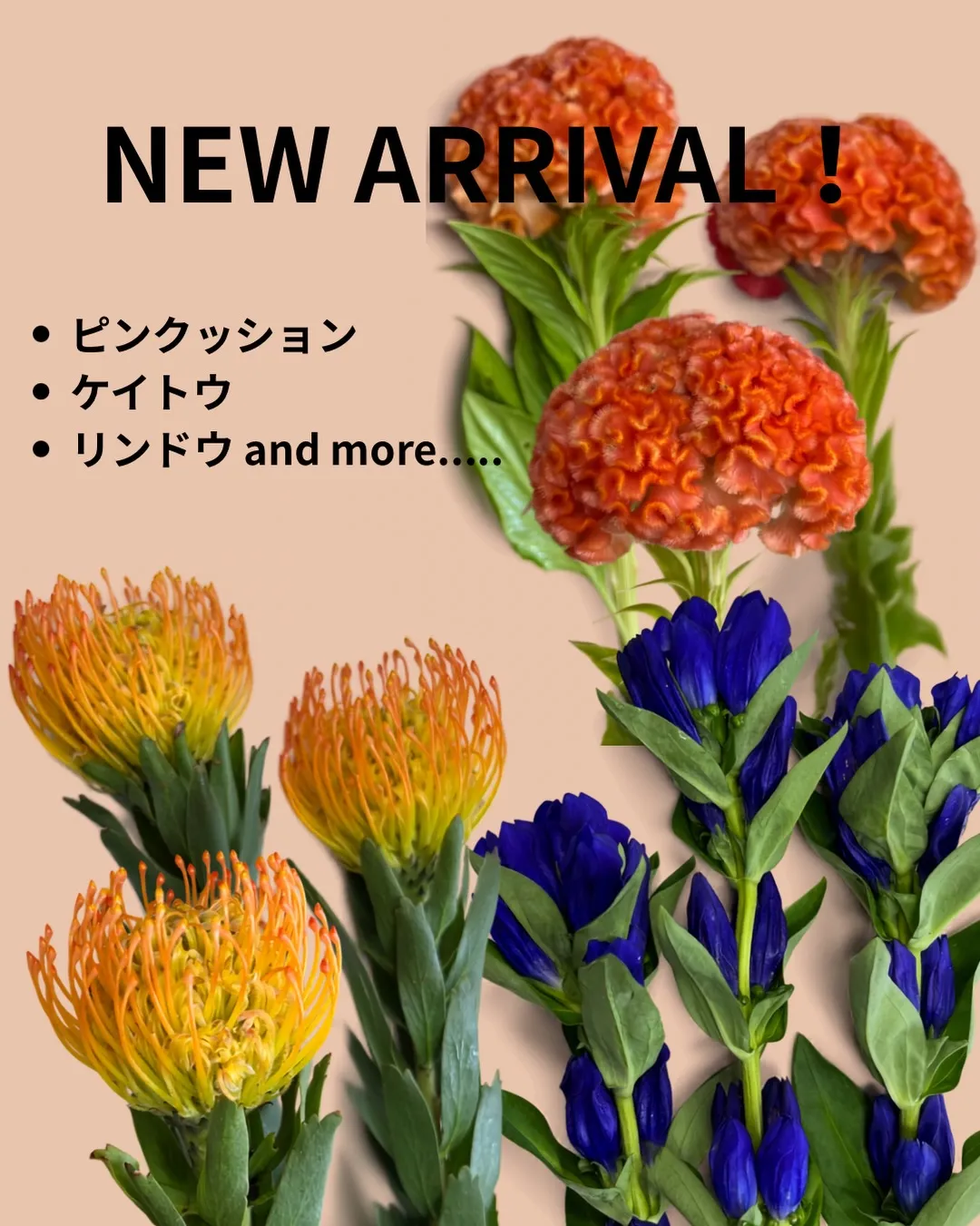 お花の入荷｜藤井寺市の花屋