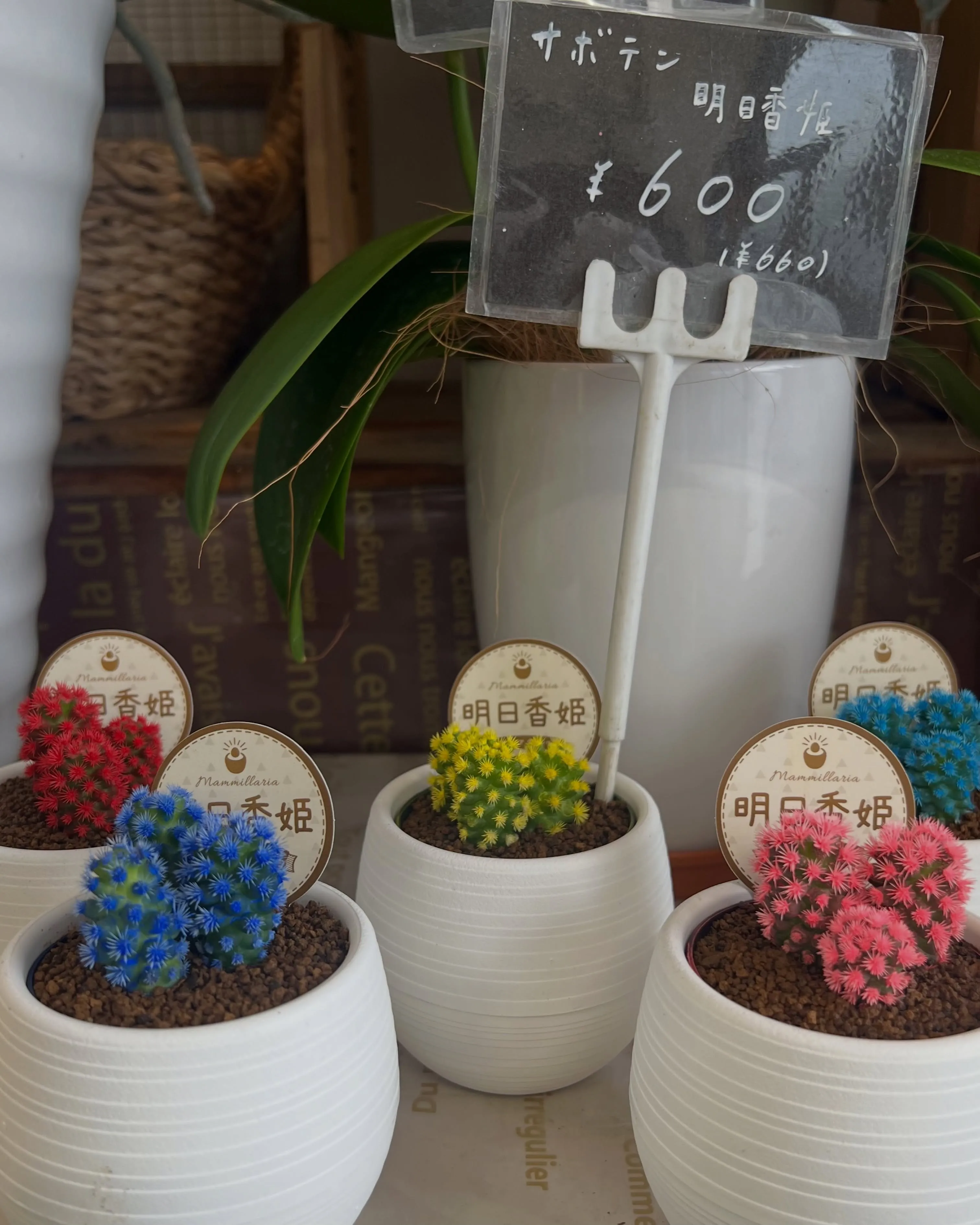 苗物の入荷｜藤井寺の花屋
