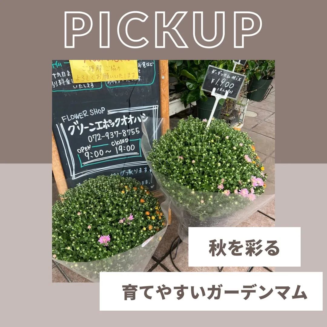 ガーデンマム｜藤井寺の花屋