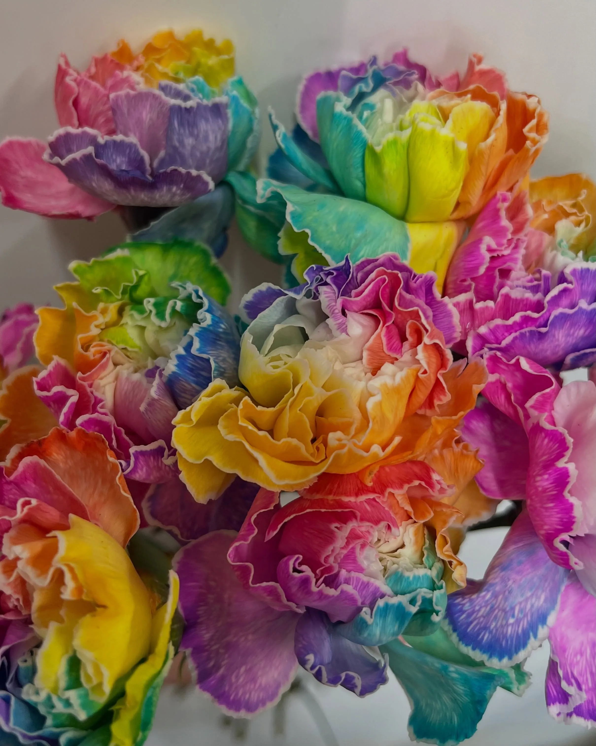 お花の入荷｜藤井寺の花屋