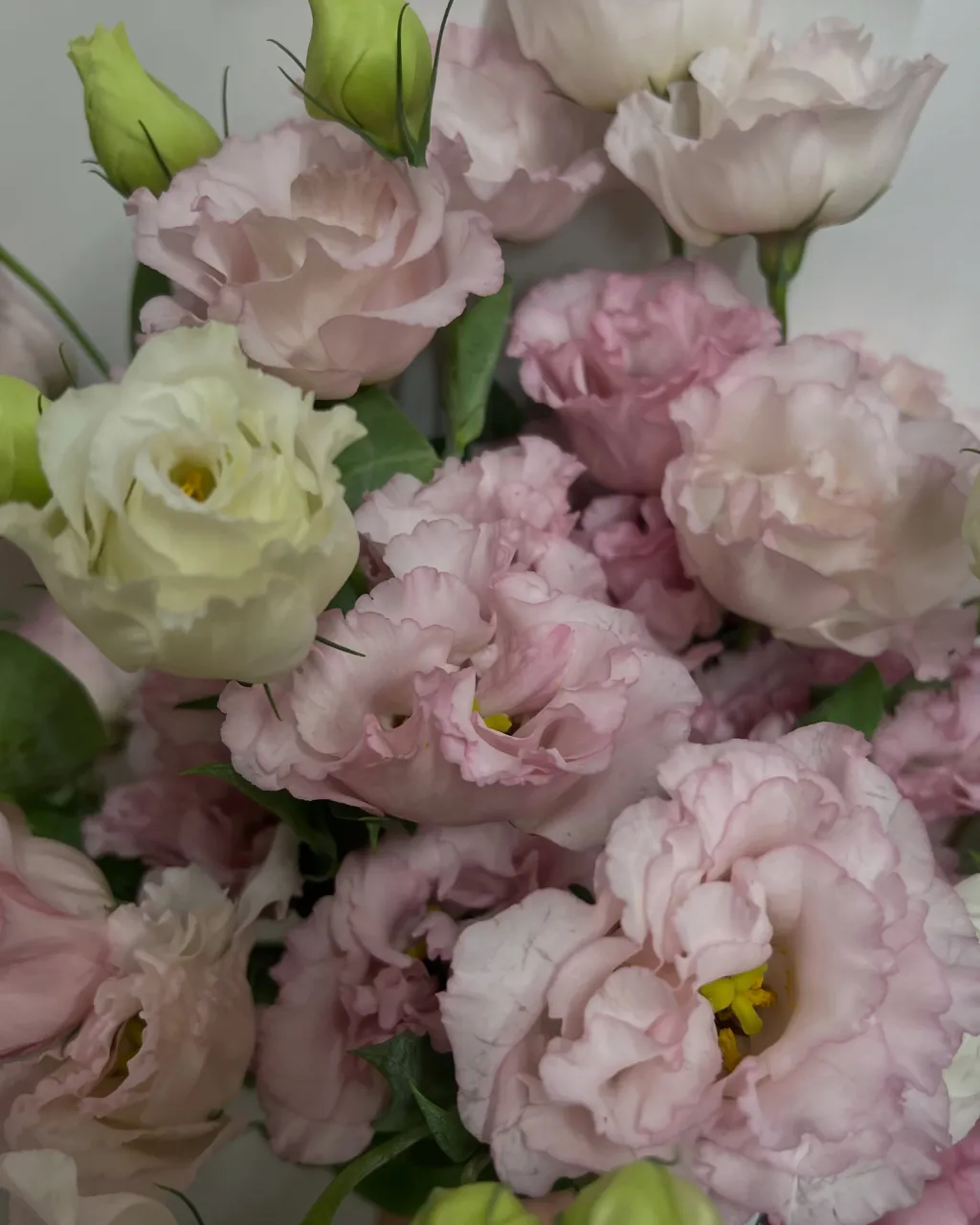 お花の入荷｜藤井寺の花屋