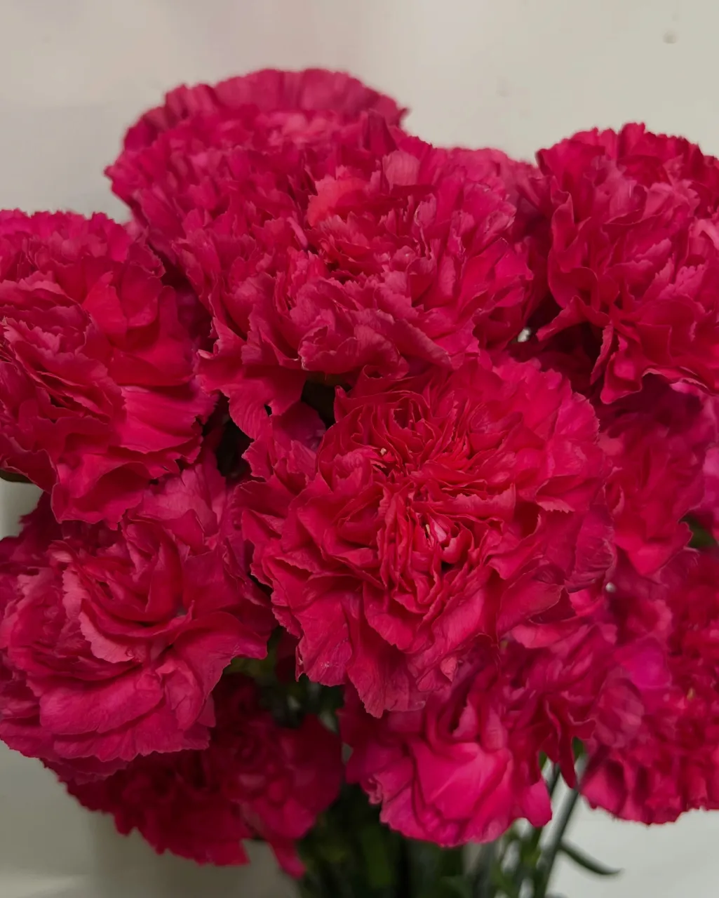切り花の入荷｜藤井寺の花屋