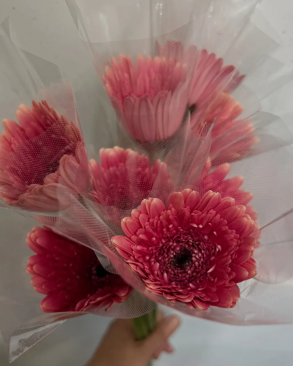 切り花の入荷｜藤井寺の花屋