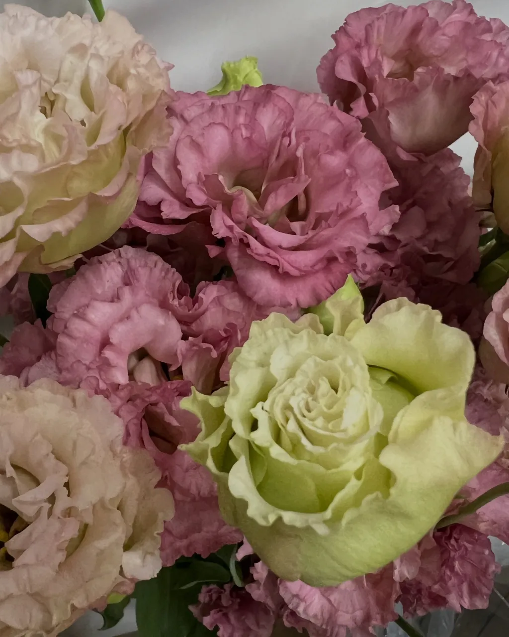 切り花の入荷｜藤井寺の花屋
