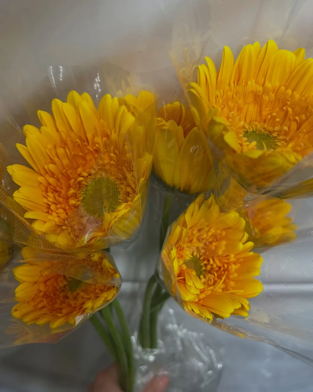 切り花の入荷｜藤井寺の花屋