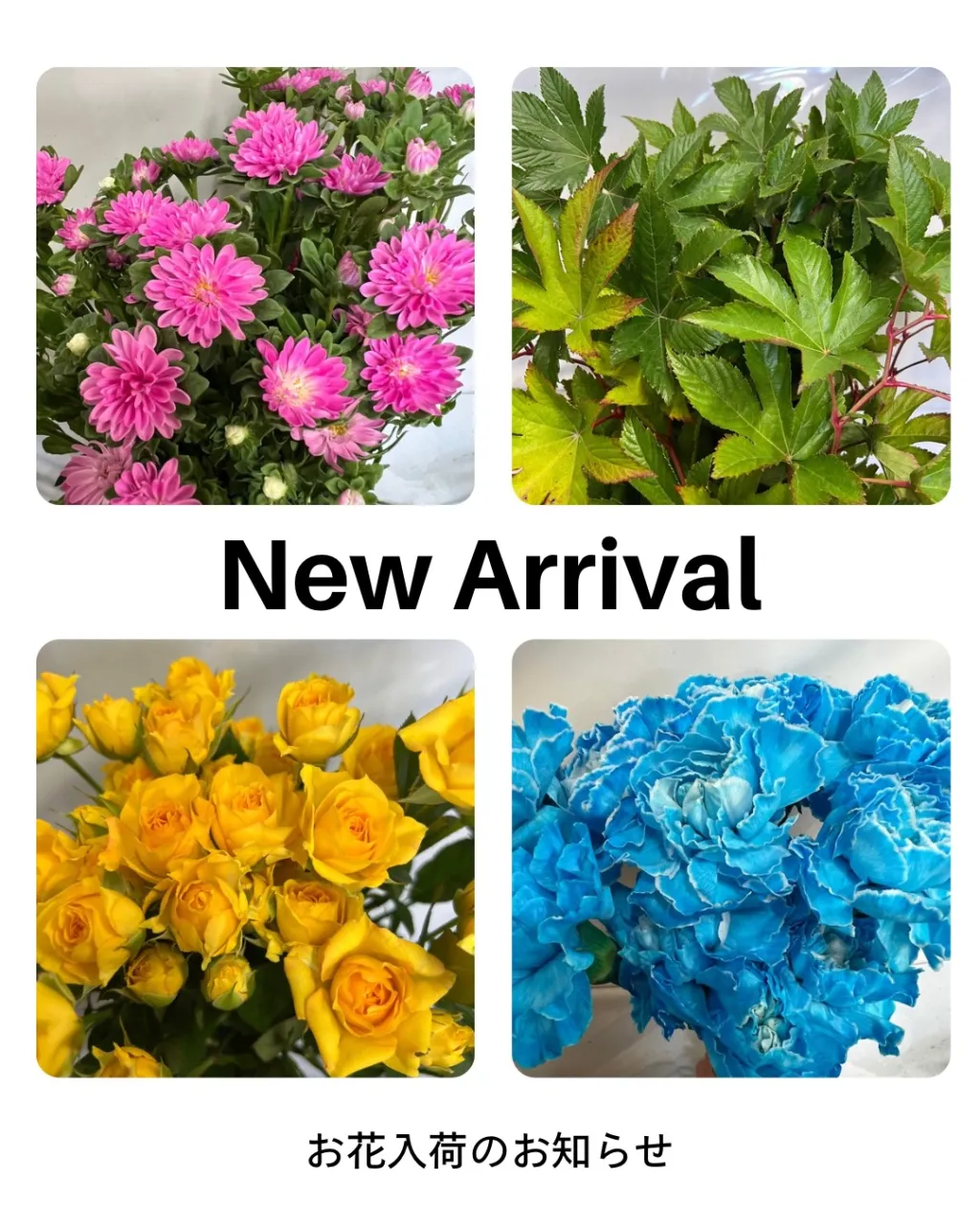 切り花の入荷｜藤井寺の花屋