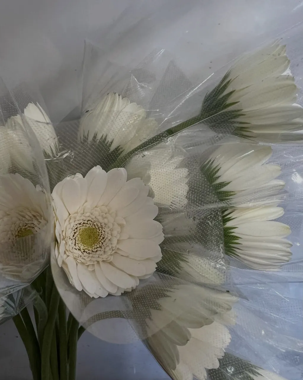 切り花の入荷｜藤井寺の花屋
