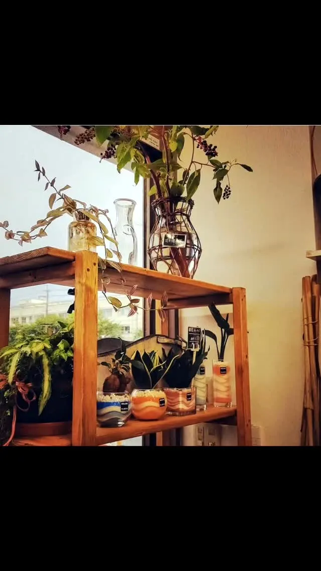 地元、藤井寺市で一番愛される花屋になりたい✨
